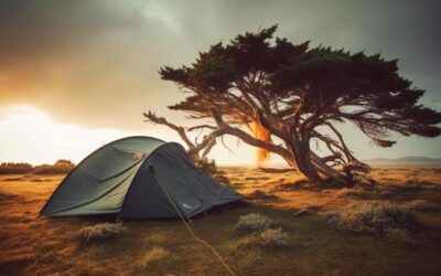 How To Camp In The Desert: A Non Expert Guide