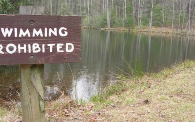 Top 10 State Parks in Alabama