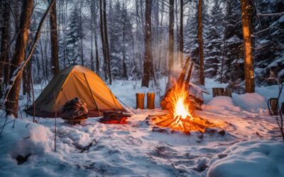 Secrets of Building a Campfire Revealed: Impress Your Friends!